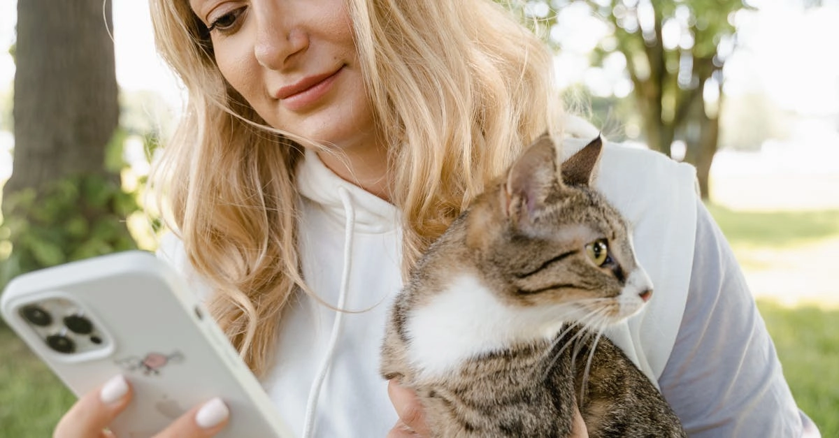 Символическое изображение кошачьих образов в цифровом искусстве