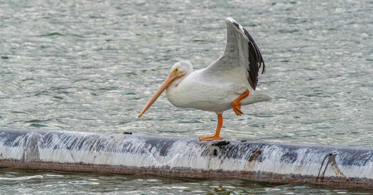 Баланс между цифровыми технологиями и природой для экологичной жизни