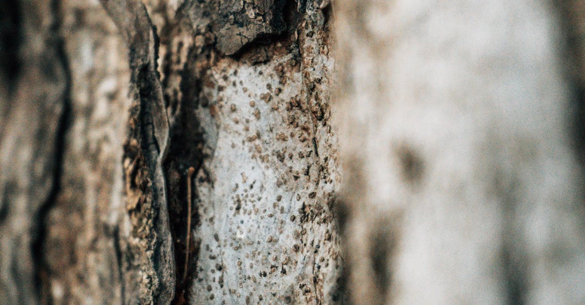 Олимпийские мифы и экологическое сознание в природной среде