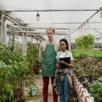 Виртуальные фермы как инструмент экологического образования