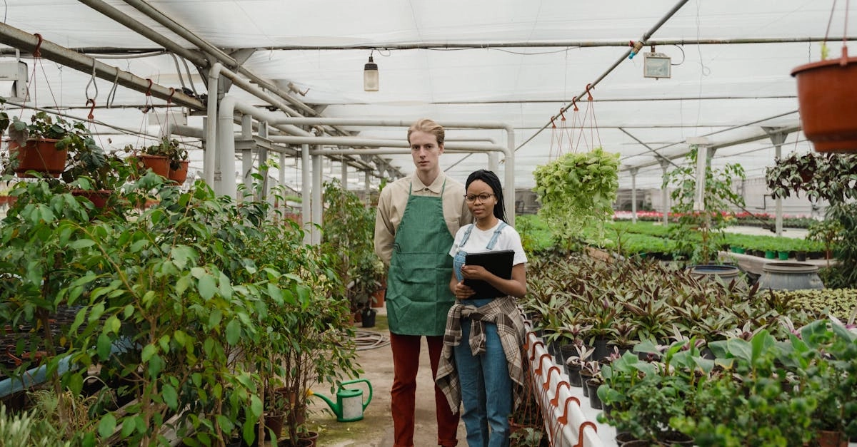 Виртуальные фермы как инструмент экологического образования