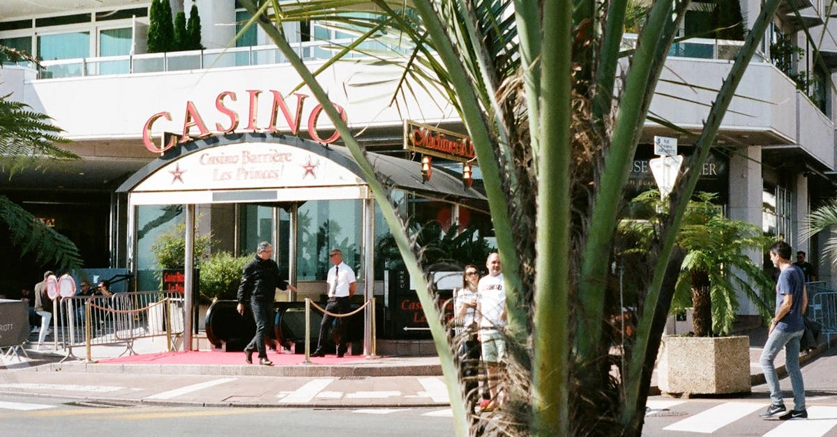 Природная философия азарта и игровой баланс Casino-X