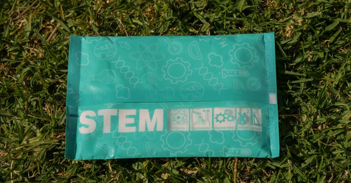 Экологичные мотивы в современных играх и цифровых развлечениях